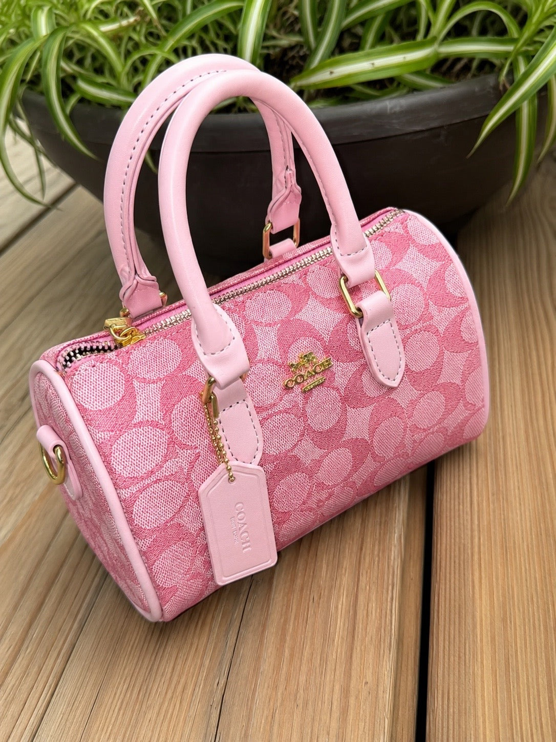 🩷 The Pink Luxe Mini