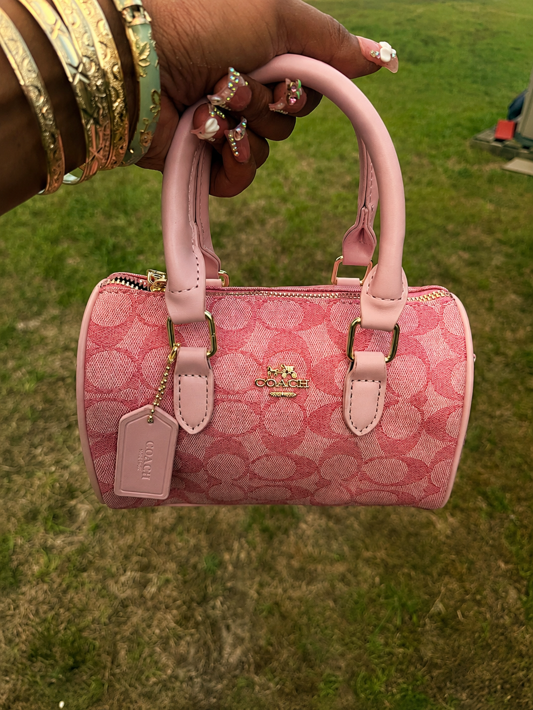 🩷 The Pink Luxe Mini