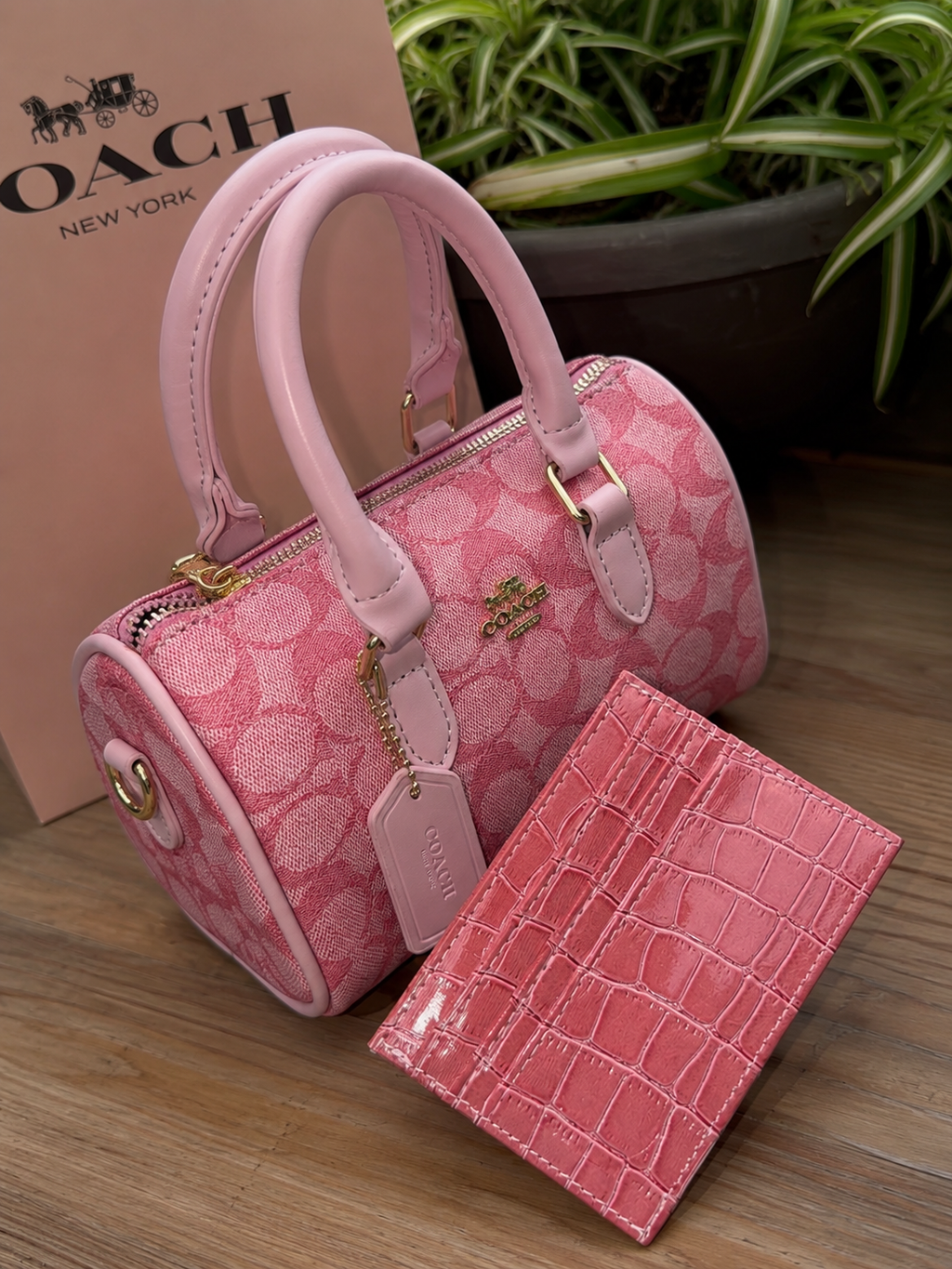 🩷 The Pink Luxe Mini